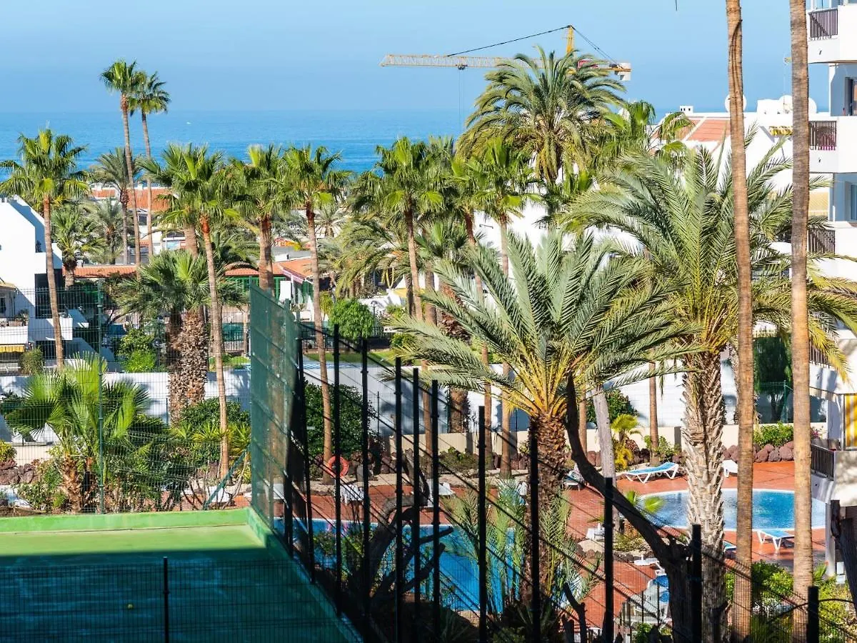 426 Wonderful Studio In Las Americas! Wi Fi Free! Playa de las Americas  0*, Playa de las Americas (Tenerife) Spain